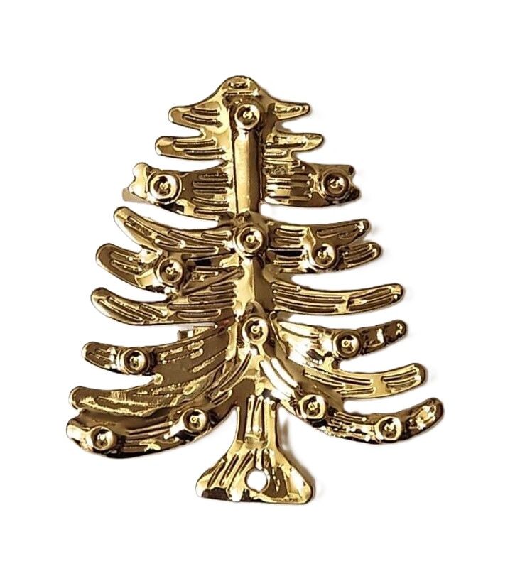 Cedar Gold- 6 cm