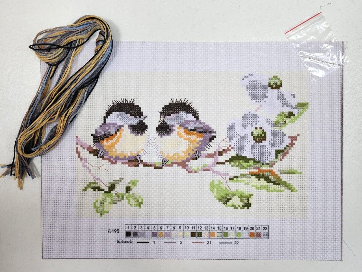 Canva Set